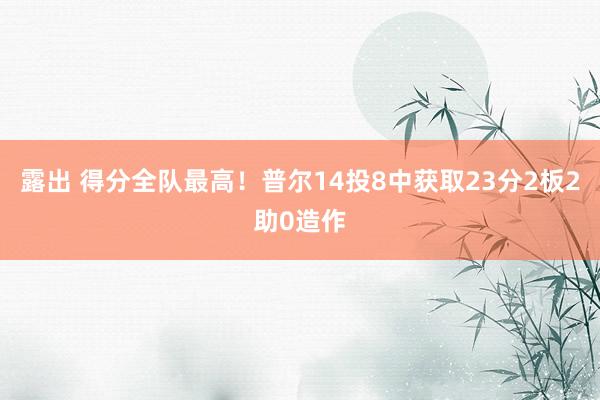 露出 得分全队最高！普尔14投8中获取23分2板2助0造作